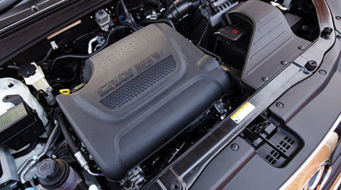 How to check and top up your engine coolant | T W White & Sons Blog